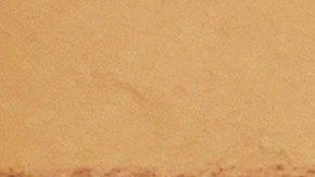 La defensa de "El Chapo" presentó pocas pruebas a su favor.