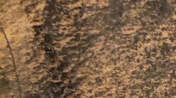 La defensa de "El Chapo" acusó que "Mayo" Zambada siga libre y se juzgue a su cliente.