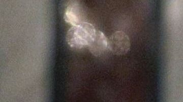 Francisco junto al jeque  Mohammed bin Zayed Al Nahyan.