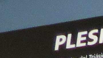 El paleontólogo Fernando Nava junto al esqueleto del plesiosaurio,