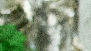 Trump en la Casa Blanca.