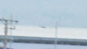 Venezolanos arman corredor humano en frontera colombiana para ingresar ayuda