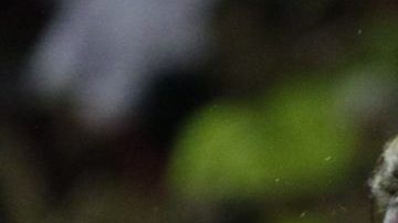 El tenista español Rafael Nadal fue eliminado por Nick Kyrgios del Abierto mexicano en Acapulco.