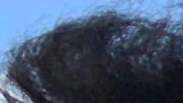 El colombiano José B fue condenado por un delito menor tipo A, con lo que le negaron sus beneficios migratorios