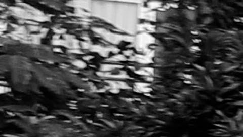 El problema de déficit de vivienda  crece en California