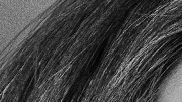 Lady Gaga protagoniza "A Star Is Born" y Tom Hardy protagoniza "Venom"