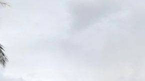 El avión se estrelló contra una vivienda unifamiliar y provocó un fuerte incendio en la estructura.