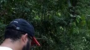 No pudieron mover al animal de la zona donde fue hallado, debido a la gran cantidad de flora.