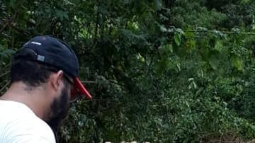 No pudieron mover al animal de la zona donde fue hallado, debido a la gran cantidad de flora.