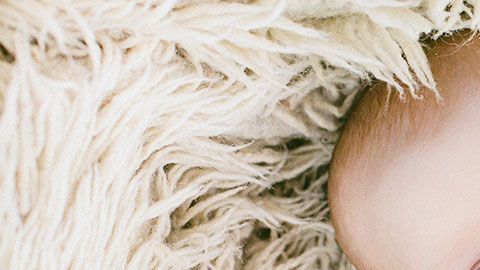 Un pequeñín de estos podría hacerte gastar mucho si no aplicas estas formas de ahorrar.