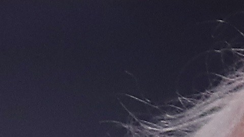 Bernie Sanders y Julián Castro.