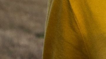 Cientos e incluso miles de libros podrías leer en tan solo un año.