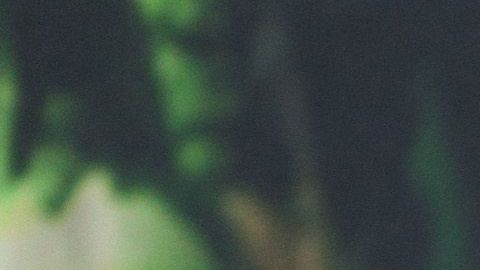 Brad Pitt está soltero.