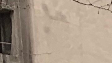 Ciclistas en Nueva York