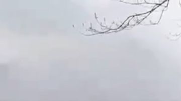 Fuertes vientos y bajas temperaturas crearon "olas de hielo".