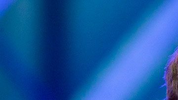 Facebook es capaz de invertir lo que sea necesario.