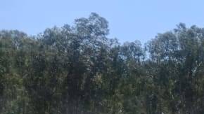 Los espectadores no pudieron hacer nada al respecto