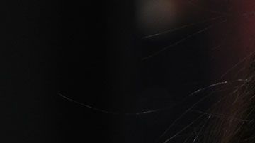 Dayanara Torres se recupera.