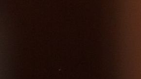 Dieta_shutterstock_209306980