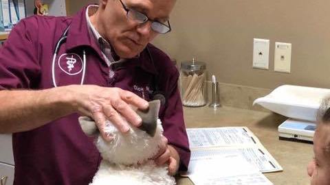 Una niña con autismo va al veterinario con su gato de peluche.