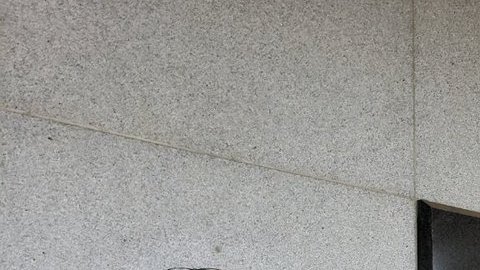 Las trabajadoras hicieron la denuncia en rueda de prensa.