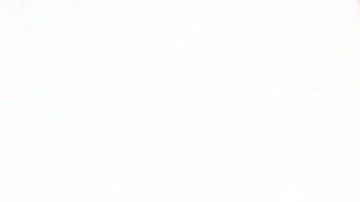 Pedro Carrizales "El Mijis".