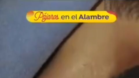 Elisa Vicedo sufiró heridas.