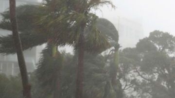 Irma pegó con fuerza a Florida.