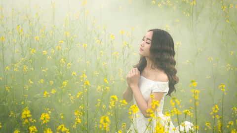 fog-3050078_1920