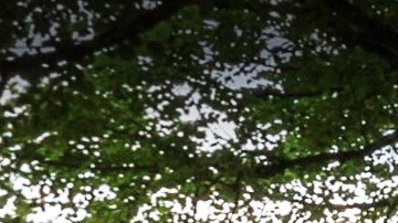 Fort Tryon Park, Alto Manhattan