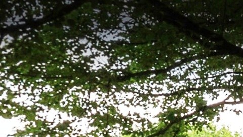 Fort Tryon Park, Alto Manhattan
