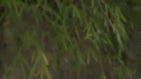 Daniel Garrido en Venezuela