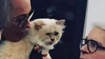 Lagerfeld junto a su gata  Choupette.