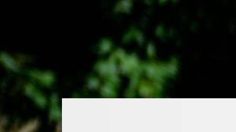 Eric Trump, el hijo del presidente es el director ejecutivo de la Organización Trump