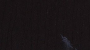 El presidente Trump teme que aumenten las caravanas a EEUU.