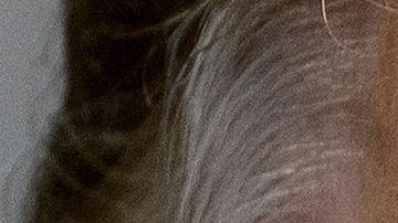 ¿Quién es y cómo funciona esta figura que estará preparara para el discurso de este martes de Donald Trump?