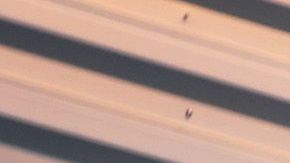 Los precios de Costco incluyen instalación