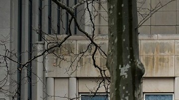 Autoridades federales se coordinaron para detener al ciudadano de origen español.