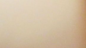 Craft entregó cerca de 1.5 millones de dólares a candidatos republicanos en los comicios de 2016, incluido Trump