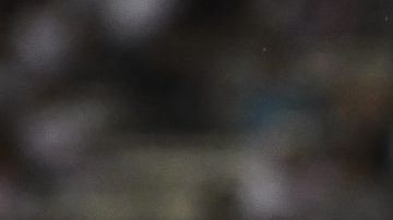 River Plate fue troleado por la Real Academia de la Lengua.