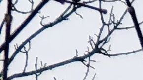 El vapor de agua se eleva sobre St. Anthony Falls en el río Mississippi.