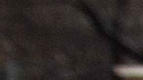 Trump canceló la protección migratoria de más de 300,000 inmigrantes