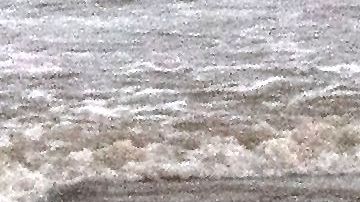 Oficiales ordenaron a conductor detenerse, pero éste se negó.