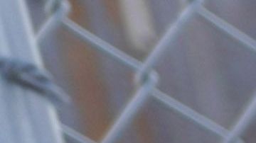 Aseguran que este programa pone en peligro el acceso significativo al asilo