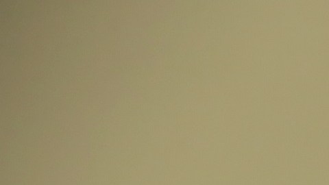 Michael Cohen afirma que el presidente Trump le mostró retorno de impuestos millonario.