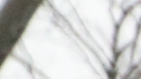 Emma Coronel afirma que autoridades de EEUU no le entregaron carta que le envió su esposo.