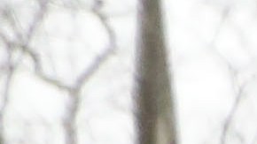 Emma Coronel el penúltimo día del juicio contra "El Chapo" en la Corte Federal de Brooklyn.