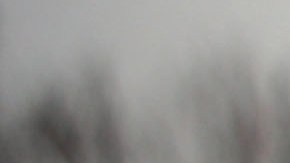 Activistas presionan para que protecciones permanentes para los llamados "tepesianos".