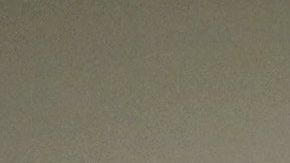 A pesar de que la inmigración es el tema más importante, el 69 % de los encuestados se opone a "construir un muro a lo largo de la frontera entre México y EE.UU."