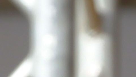 El Papa llamó a los sacerdotes abusadores "herramientas de Satanás"